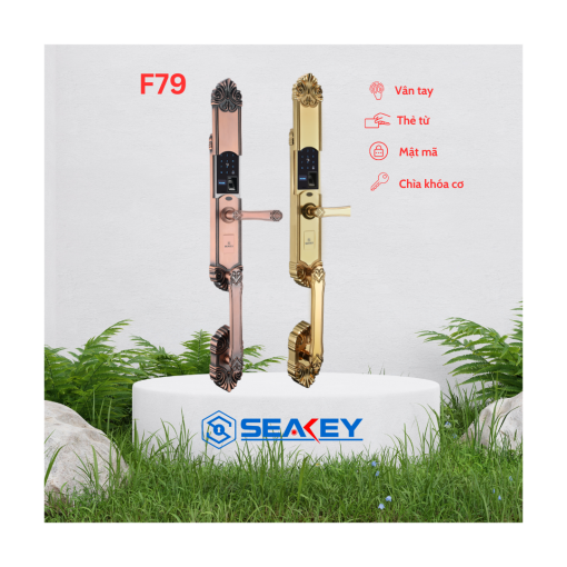 KHÓA VÂN TAY SEAKEY F79